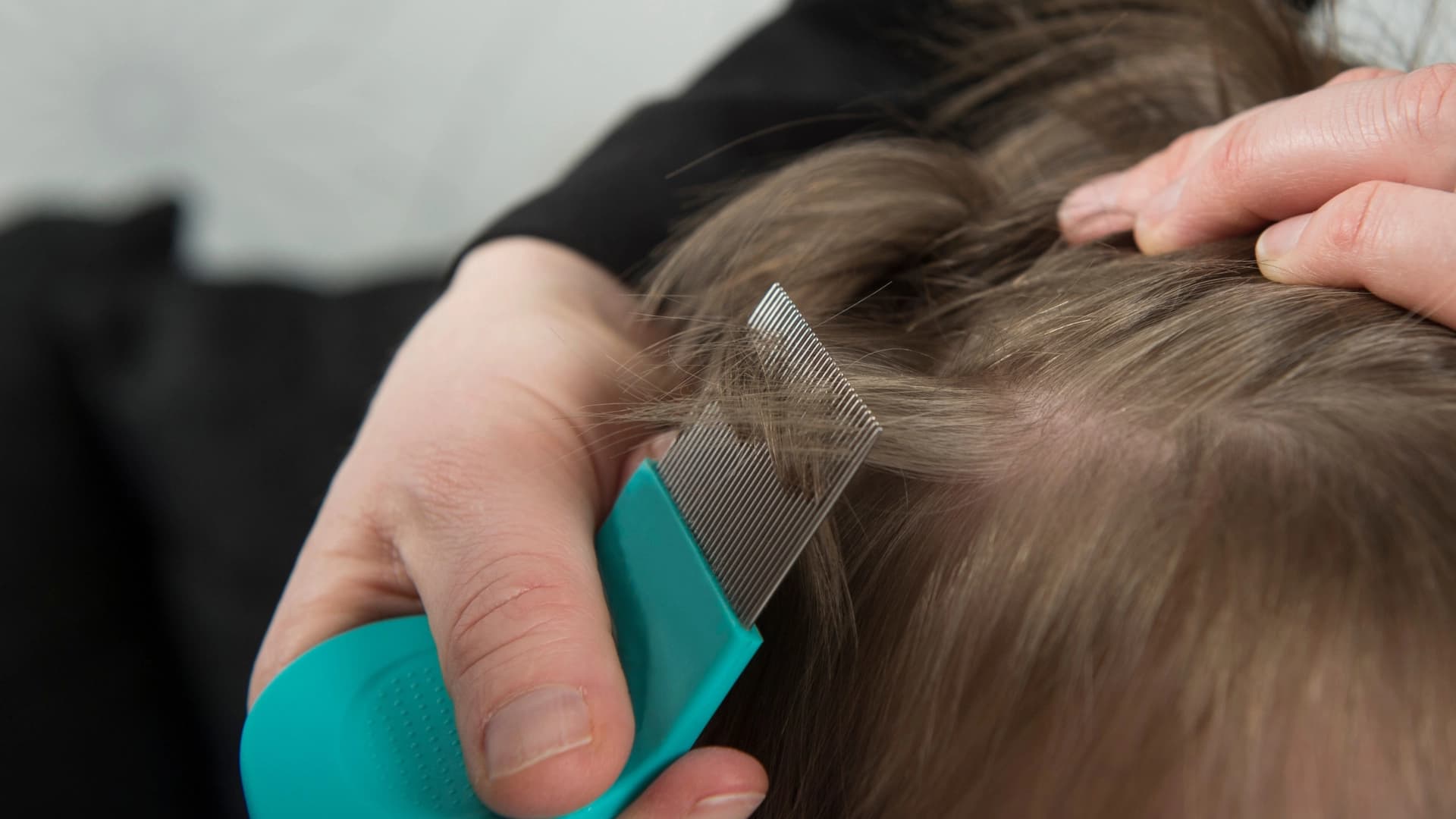 A trained lice technician carefully completing a professional comb-out