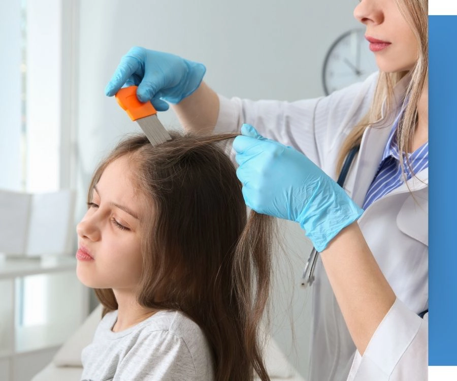 Lice Clinics Arizona Lice Clinics Arizona