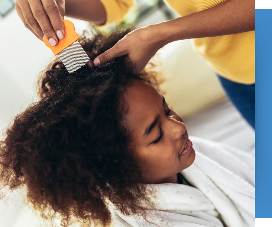 Lice Clinics Arizona Lice Clinics Arizona